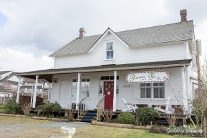 Langley-Wedding-Photographer-YD-11