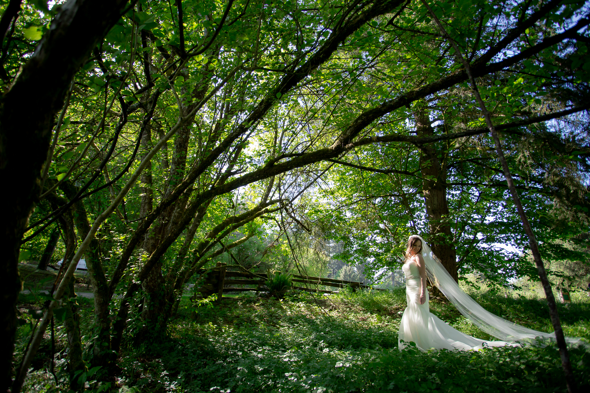 Fort-Langley-Wedding-Photographer