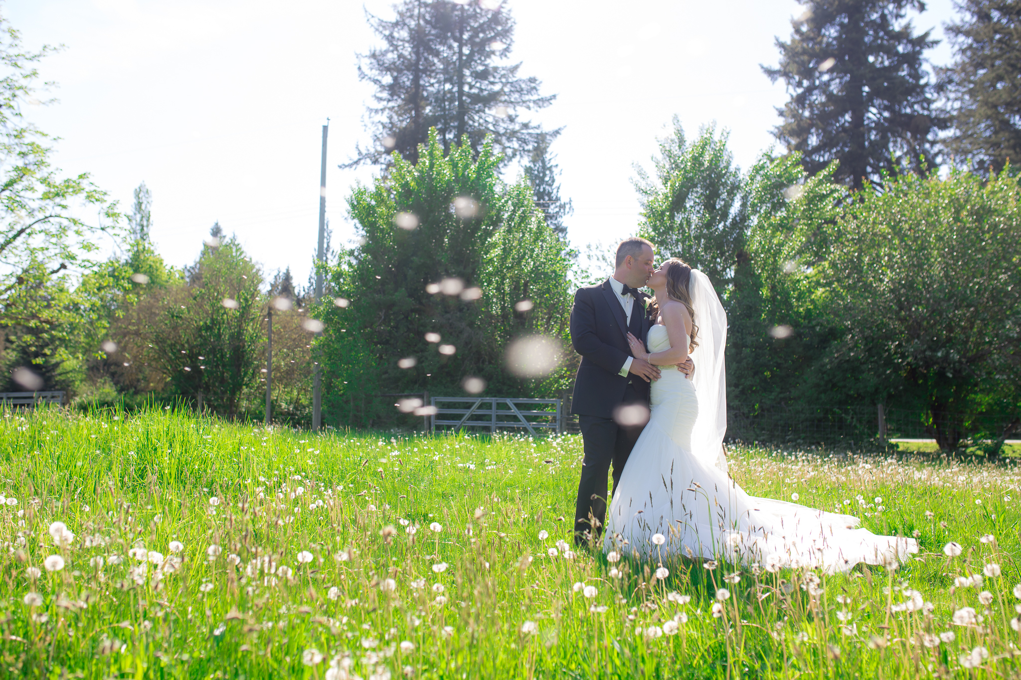 Fort-Langley-Wedding-Photographer