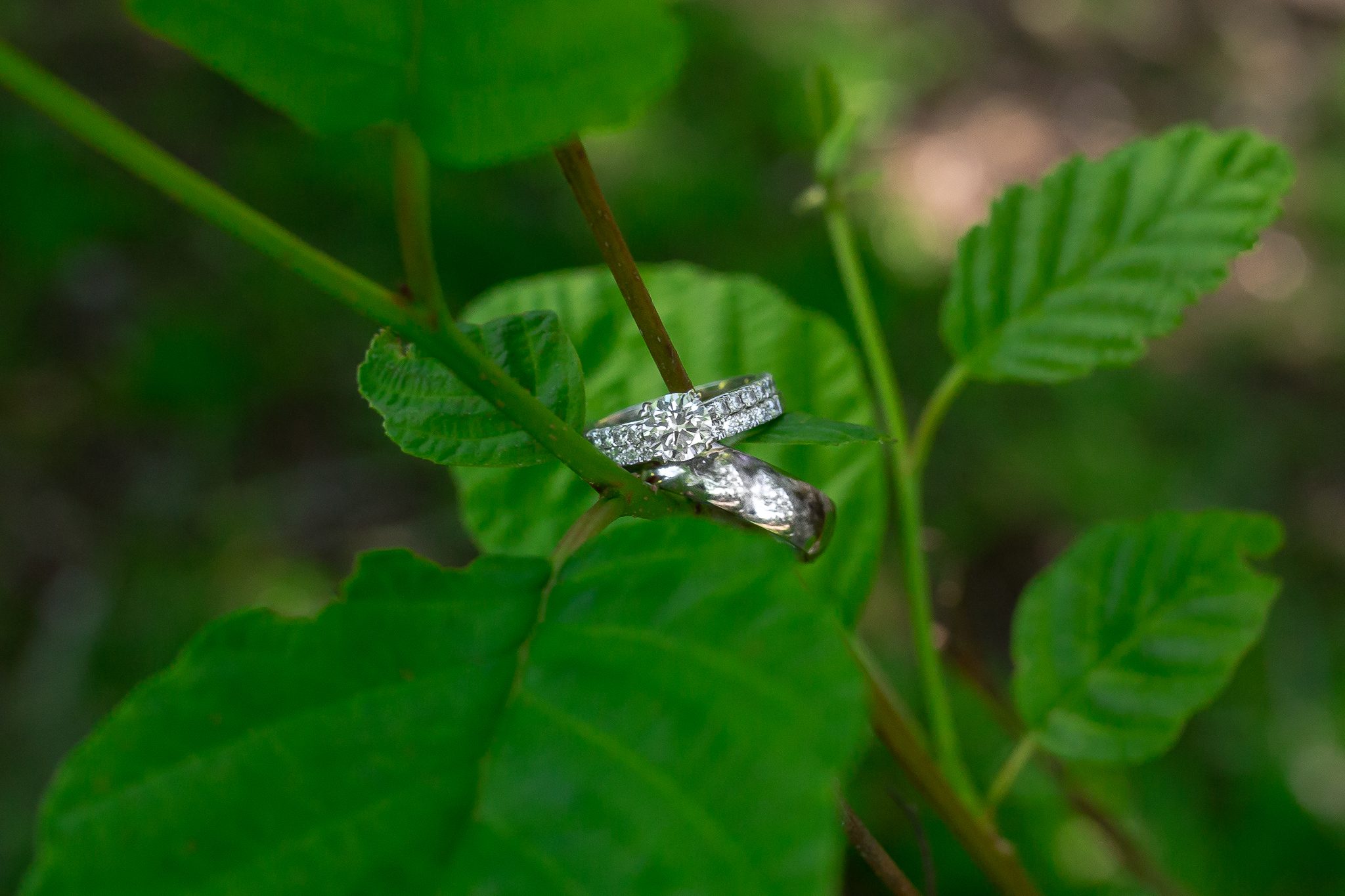 Fort-Langley-Wedding-Photographer