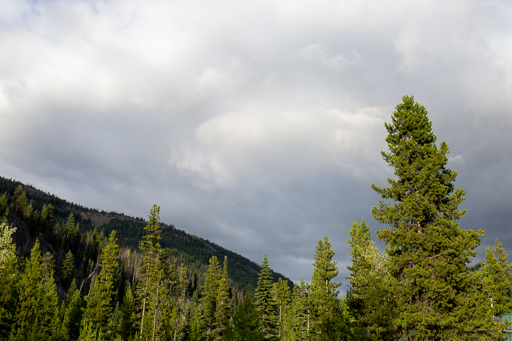 Manning Park Wedding Photographer