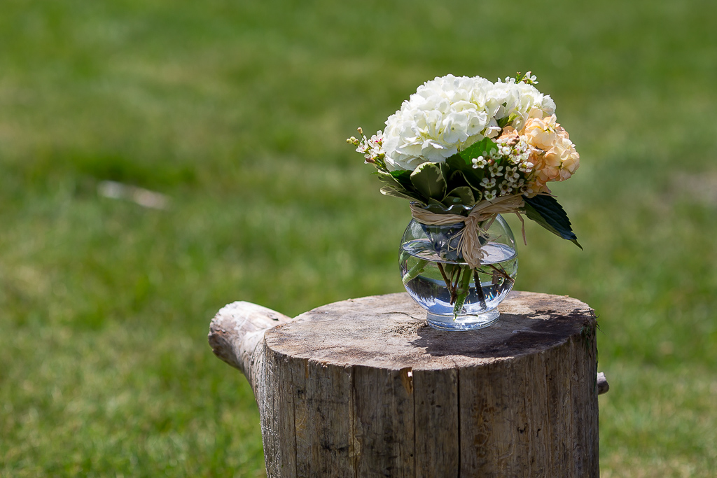 Manning Park Wedding Photographer