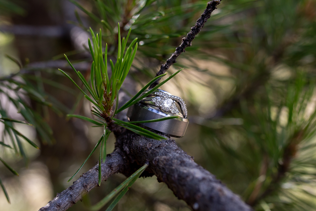 Manning Park Wedding Photographer