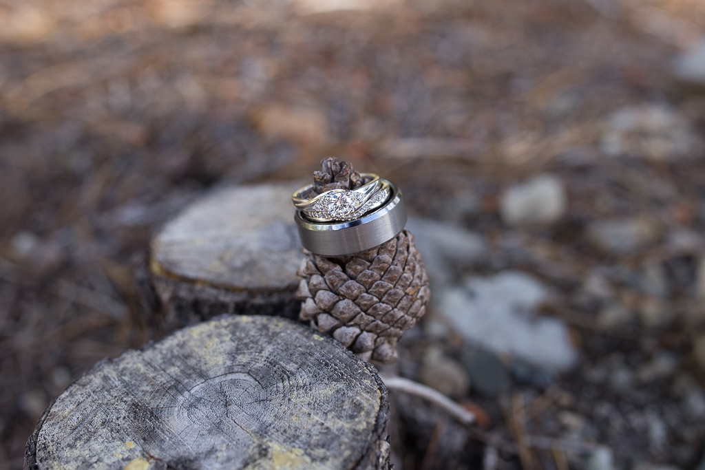 Manning Park Wedding Photographer