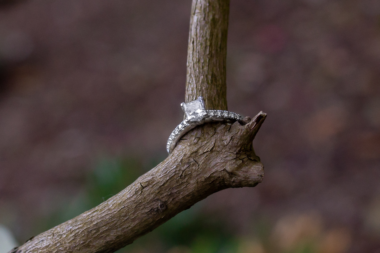 Deer Lake Engagement Photos