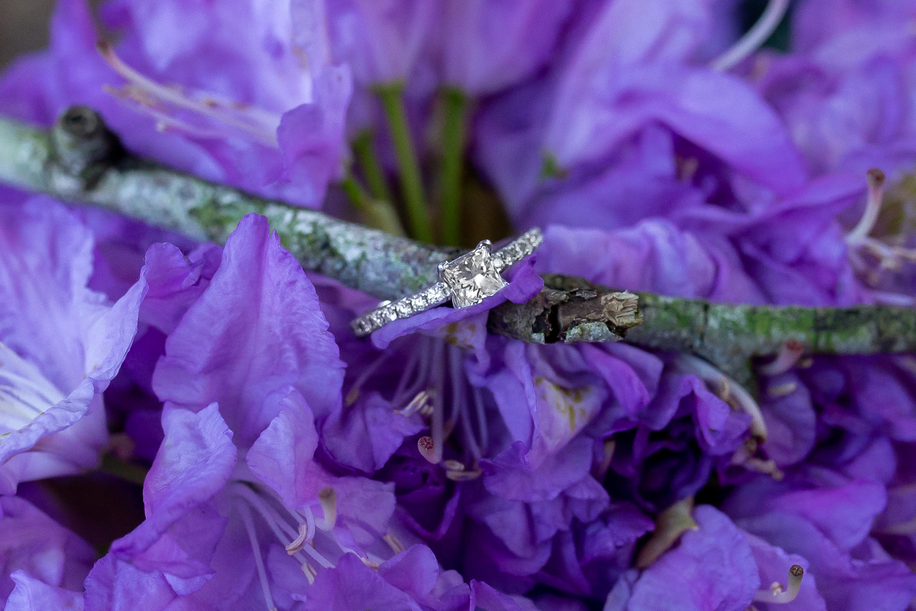 Deer Lake Engagement Photos