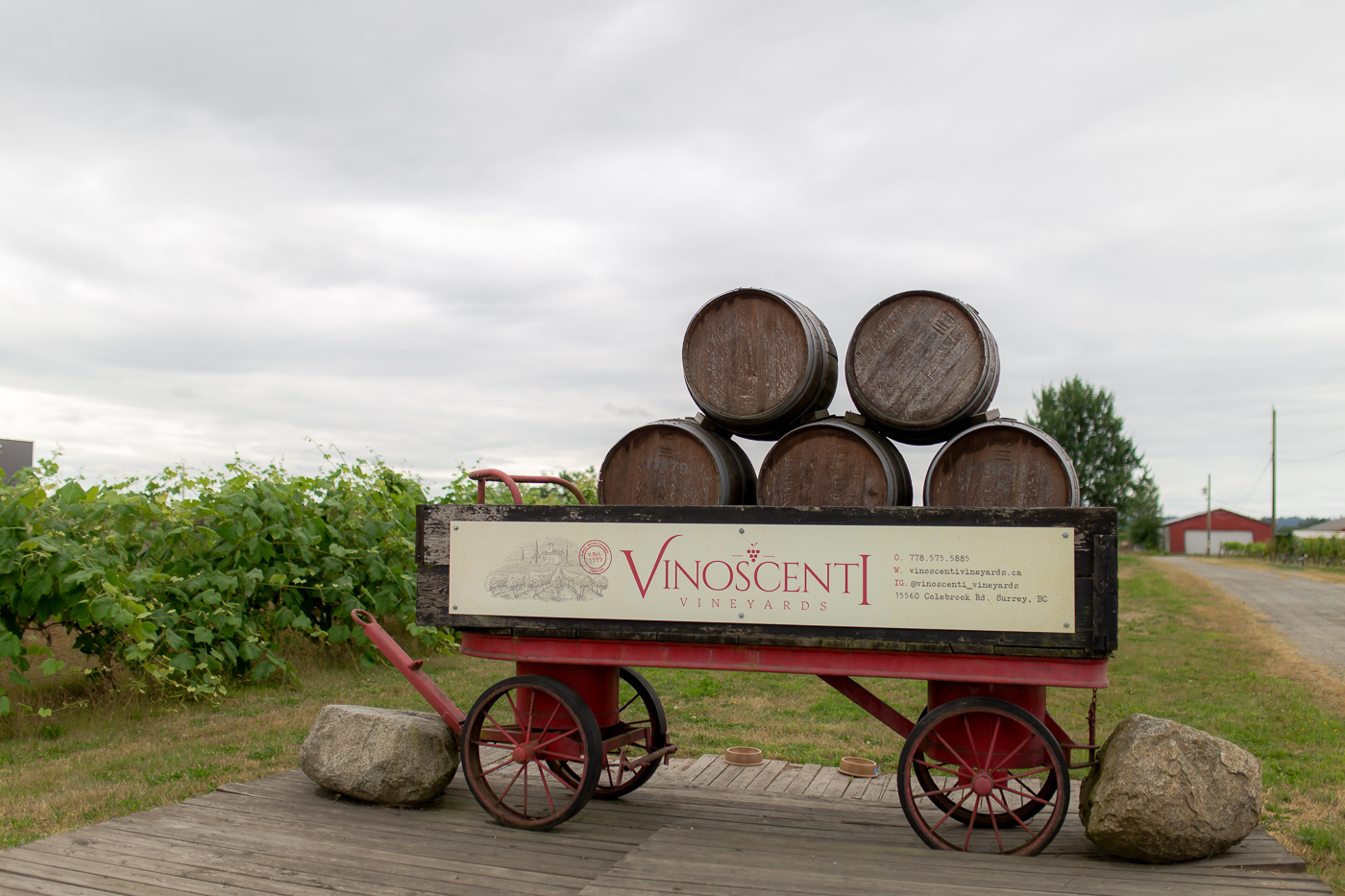 Vinsocenti Vineyards Surrey