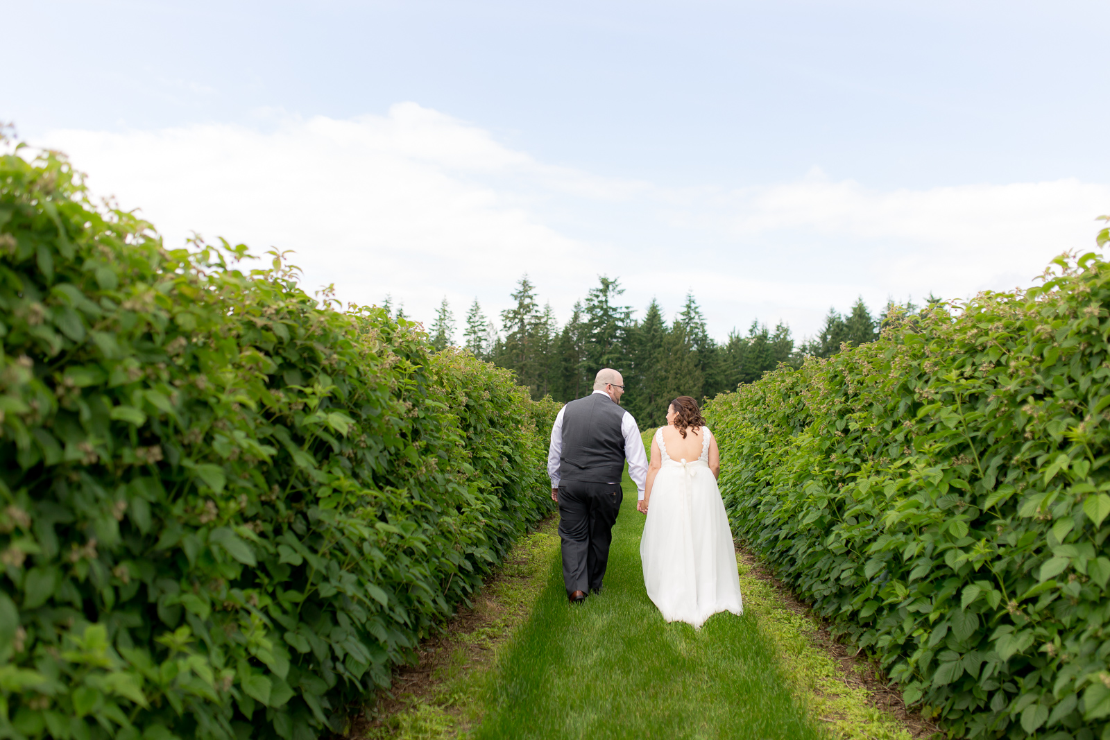 Krause Berry Farms Wedding