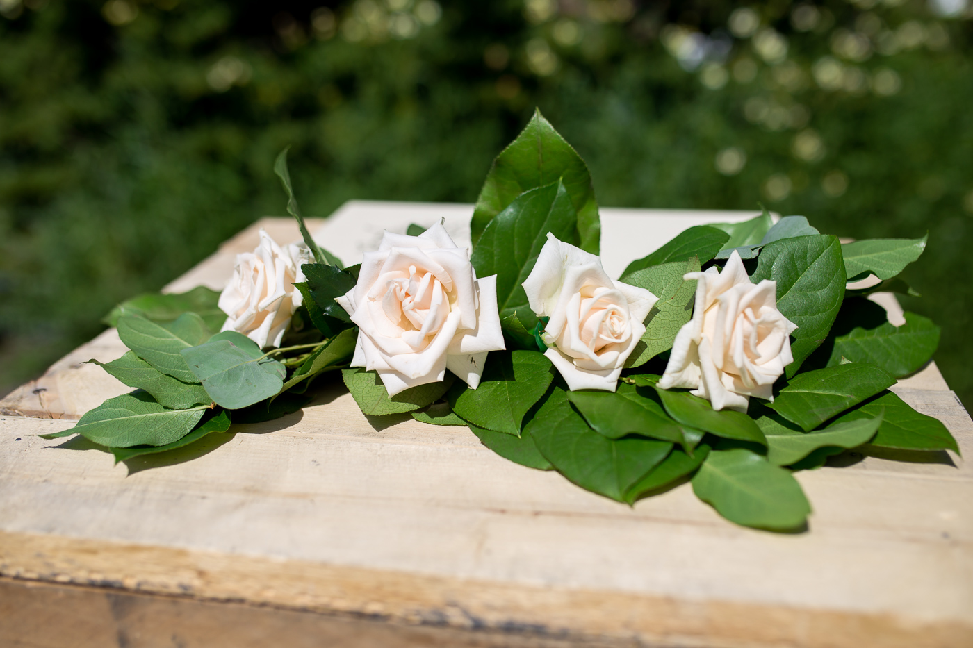 Weddings at UBC Botanical Garden