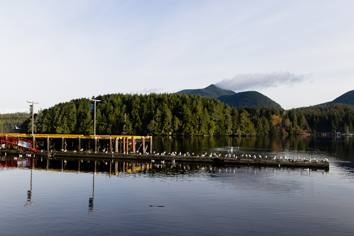 Vancouver Island Photographers