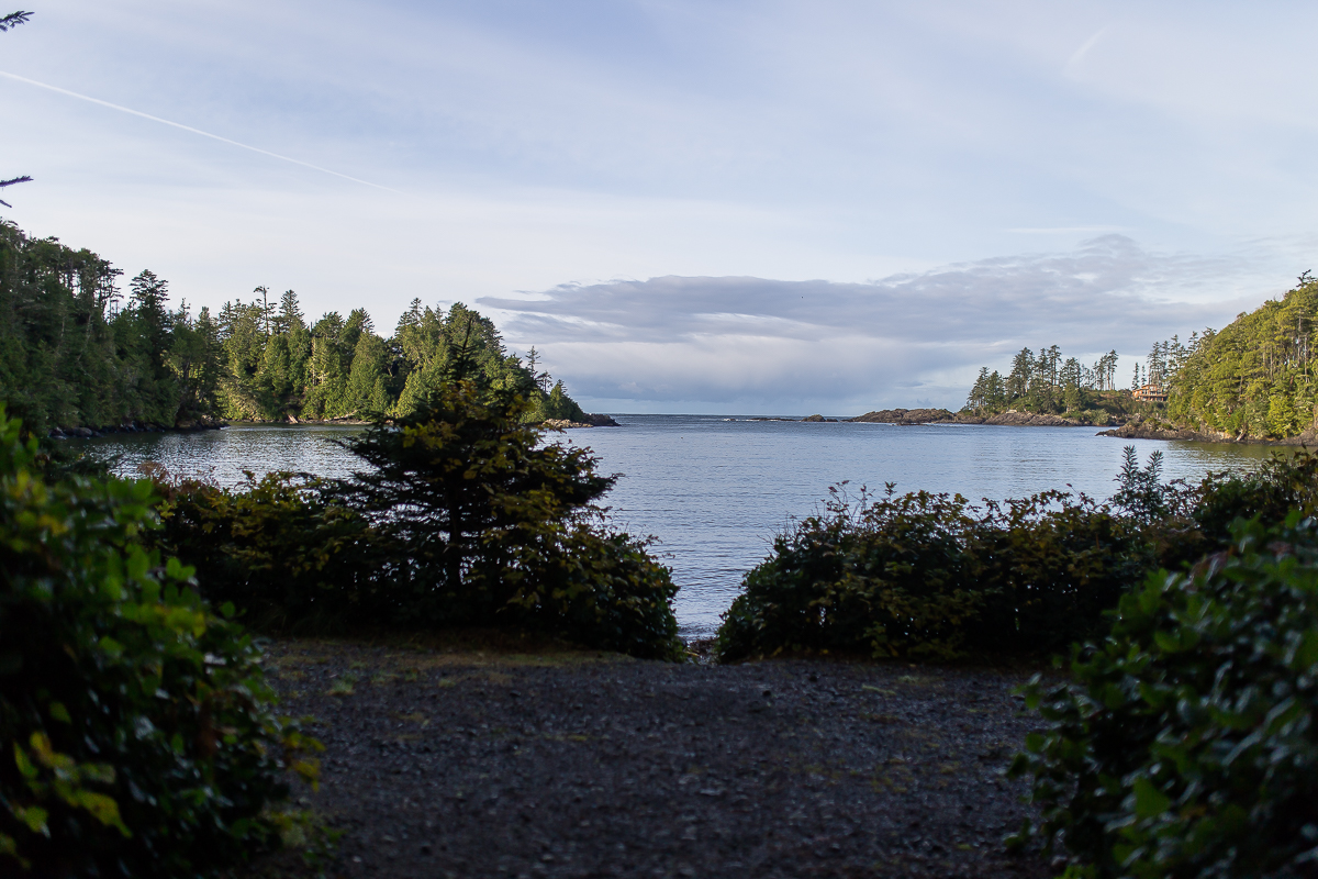 Vancouver Island Photographers