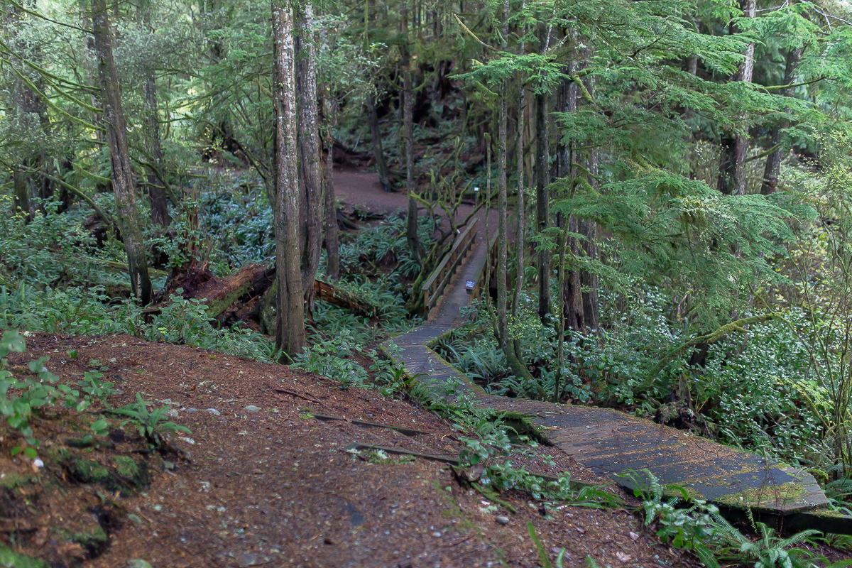 Vancouver Island Photographers