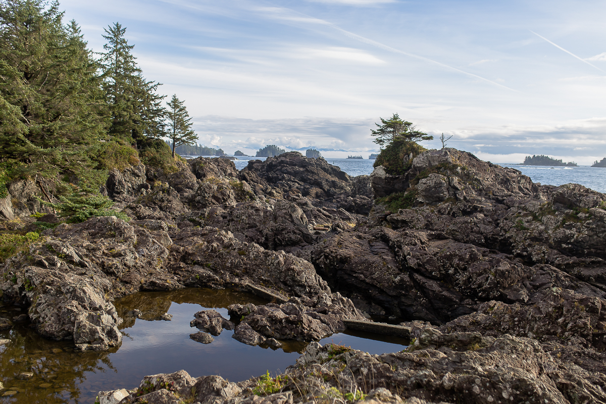 Vancouver Island Photographers