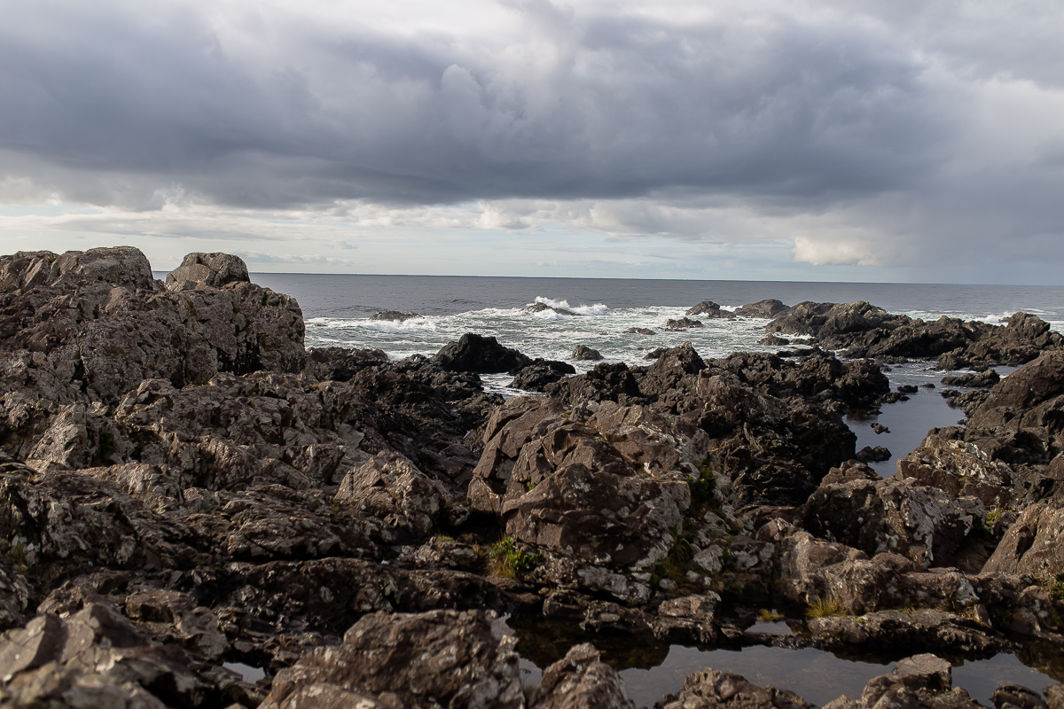 Vancouver Island Photographers