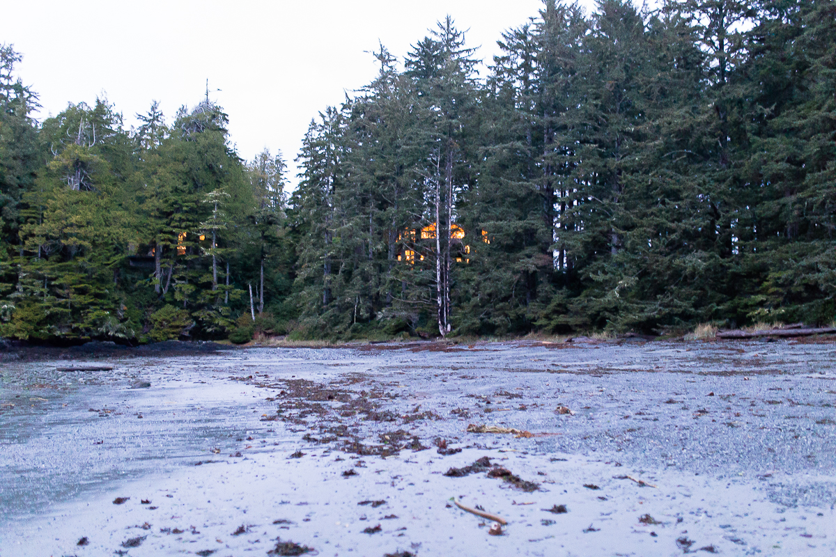 Vancouver Island Photographers