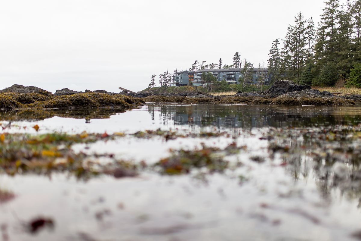 Vancouver Island Photographers