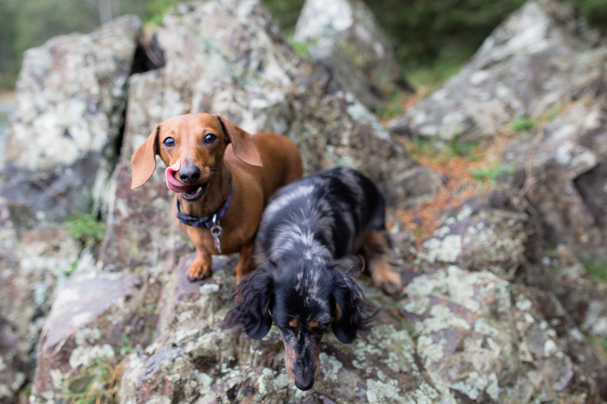 Vancouver Island Photographers