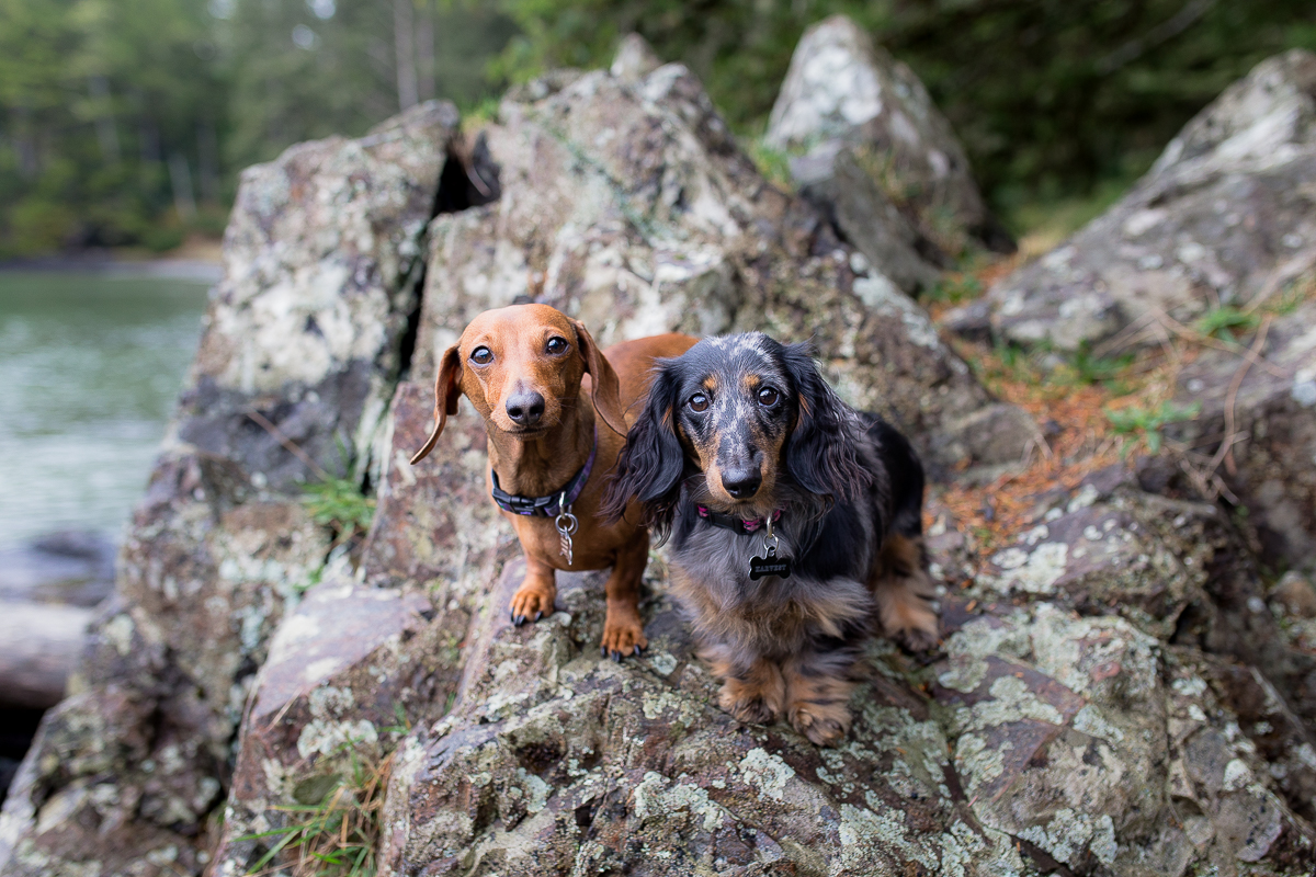 Vancouver Island Photographers