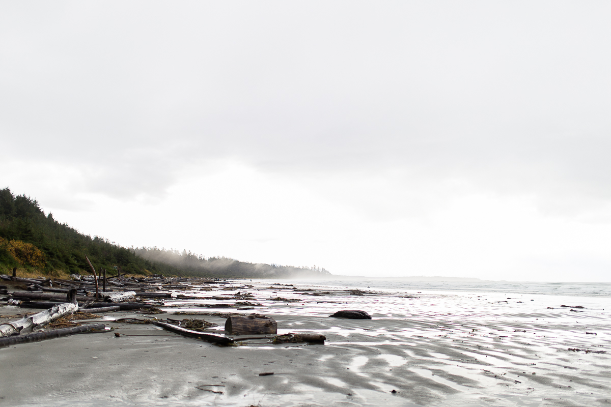 Vancouver Island Photographers