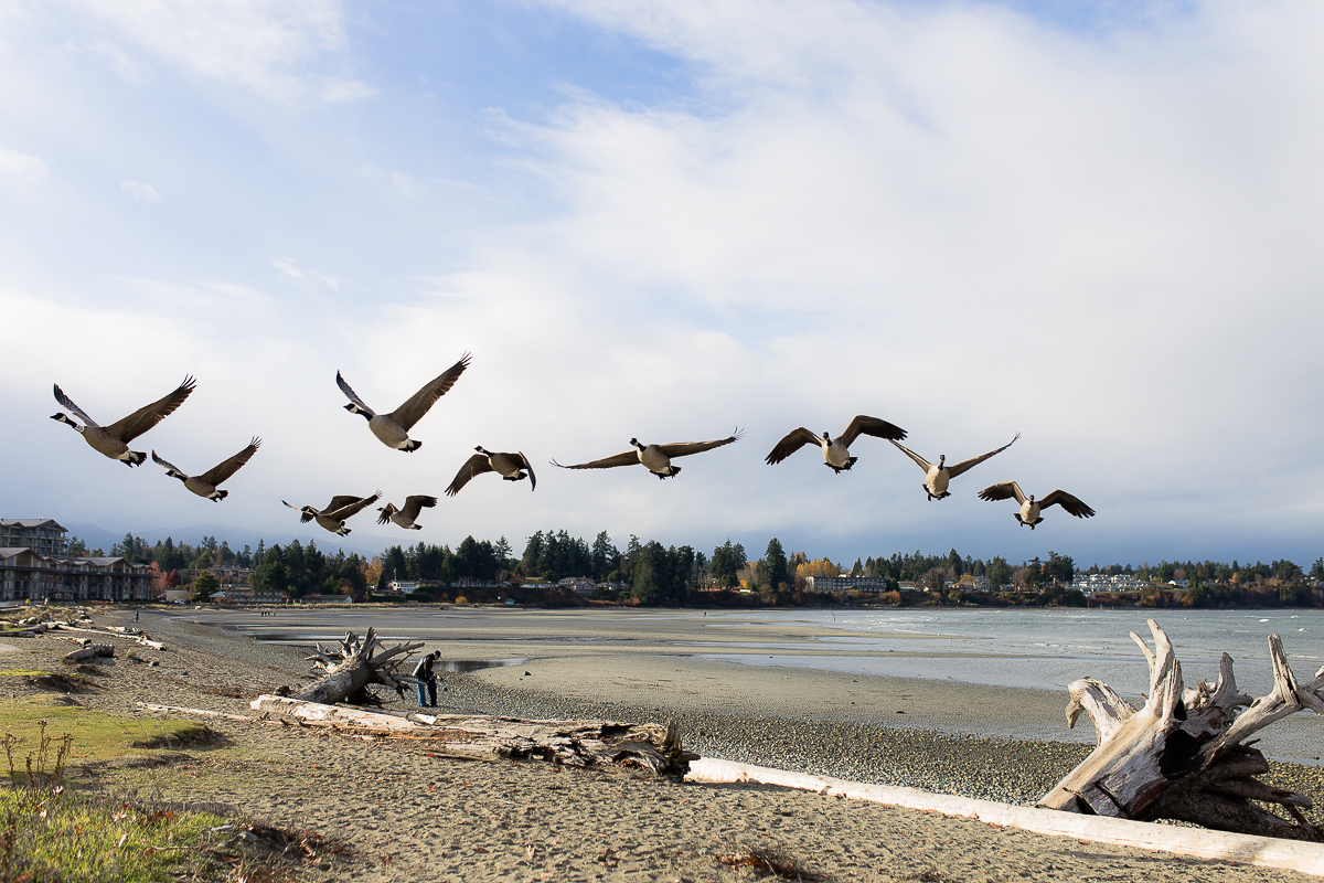 Vancouver Island Photographers