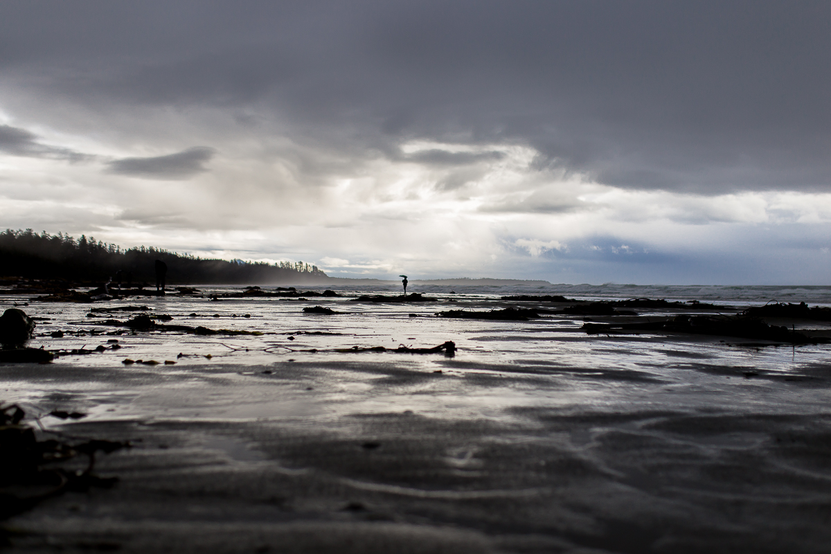 Vancouver Island Photographers