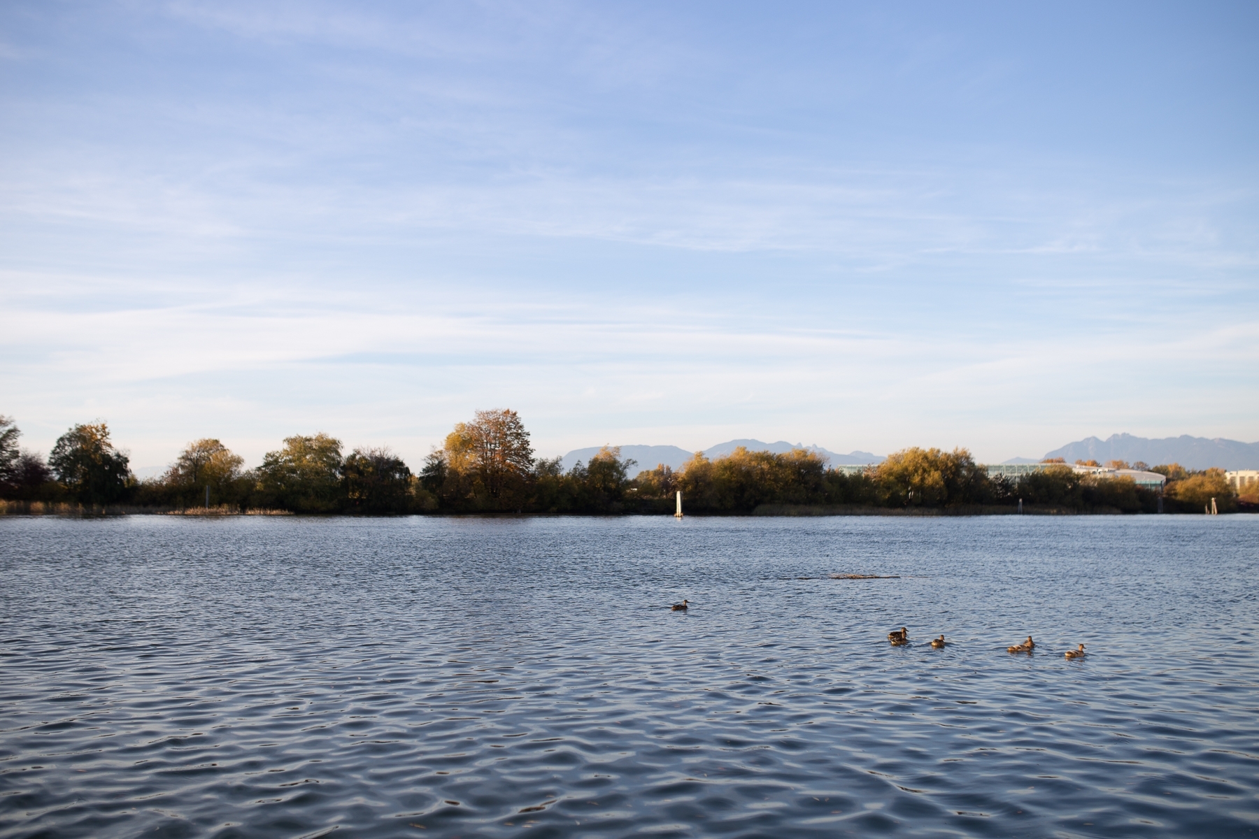 UBC Boathouse Wedding