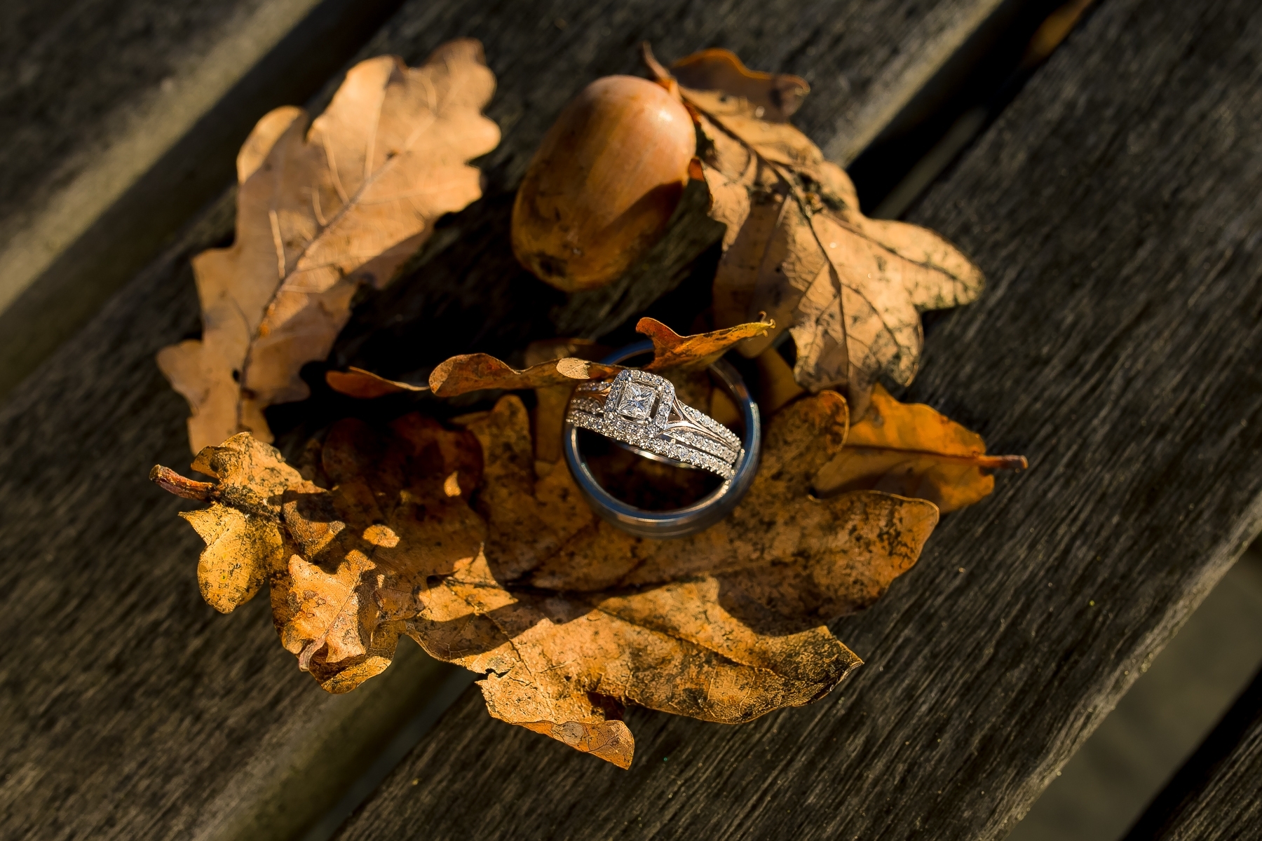 UBC Boathouse Wedding