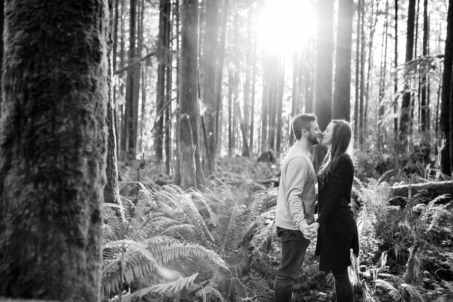 Golden Ears Photographer