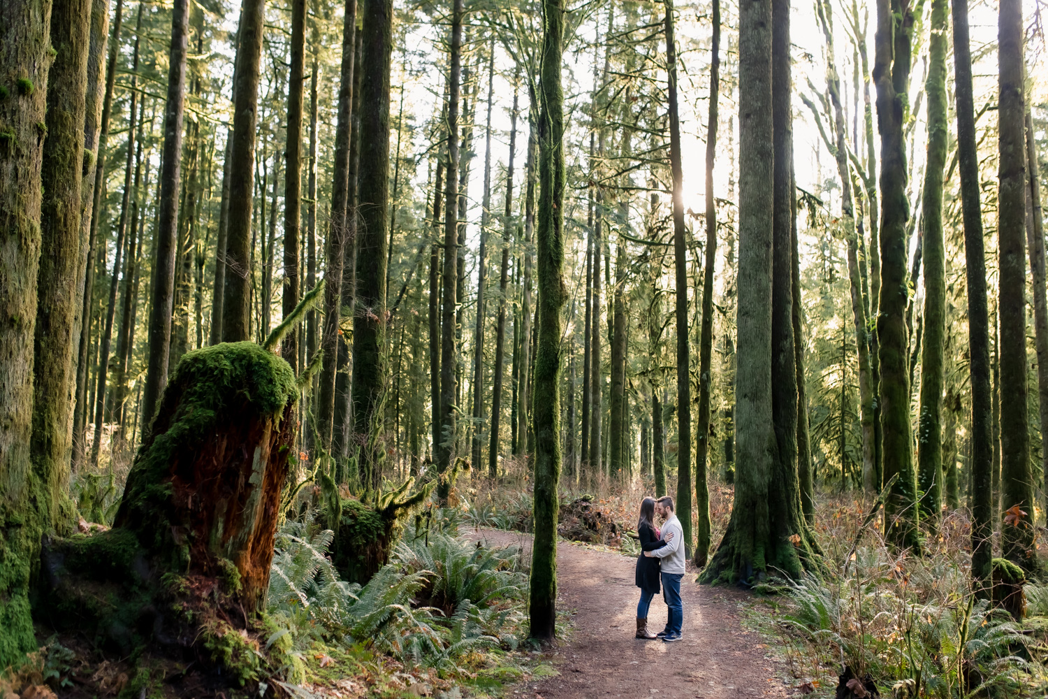 Golden Ears Photographer