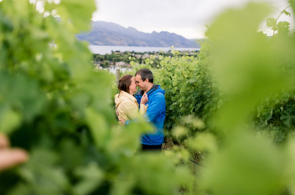 Quail’s Gate in Kelowna [Couples Photography]